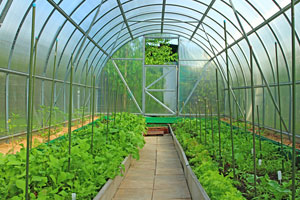 greenhouses